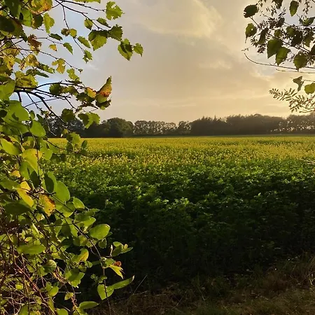 Twisterhof Twister