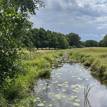 Twisterhof Twister, Volledige Prive Tuin Inclusief Hottub Apartment Sustrum